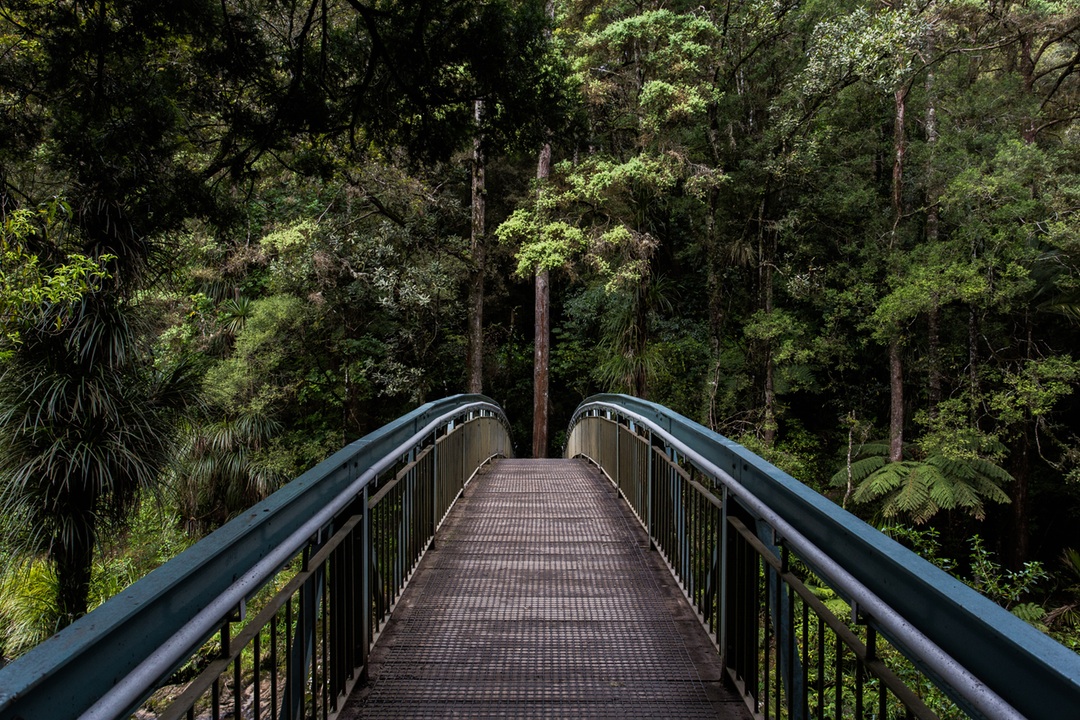 photo-bridge